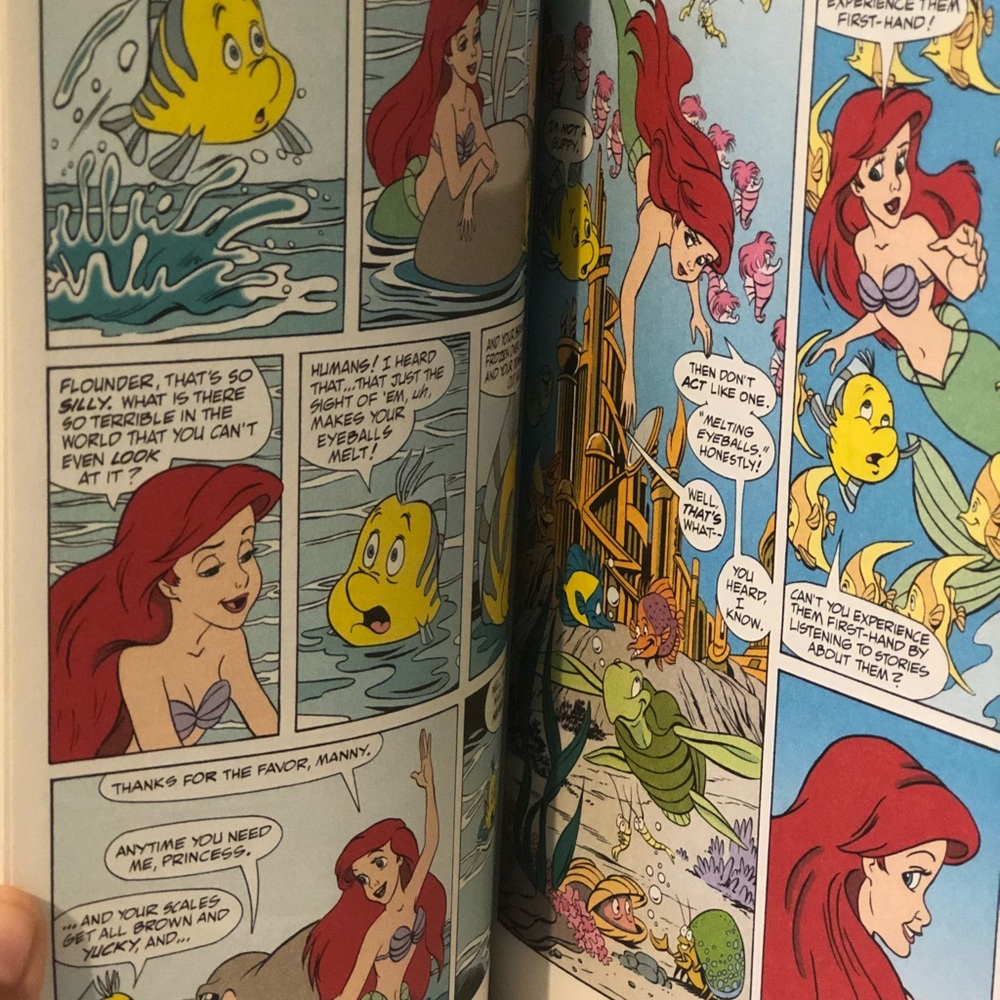 Comics treasury princess book